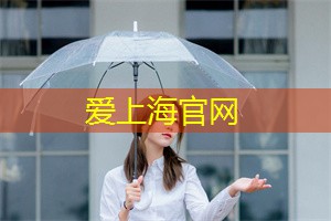 上海的一年四季作文