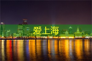 上海繁华夜景